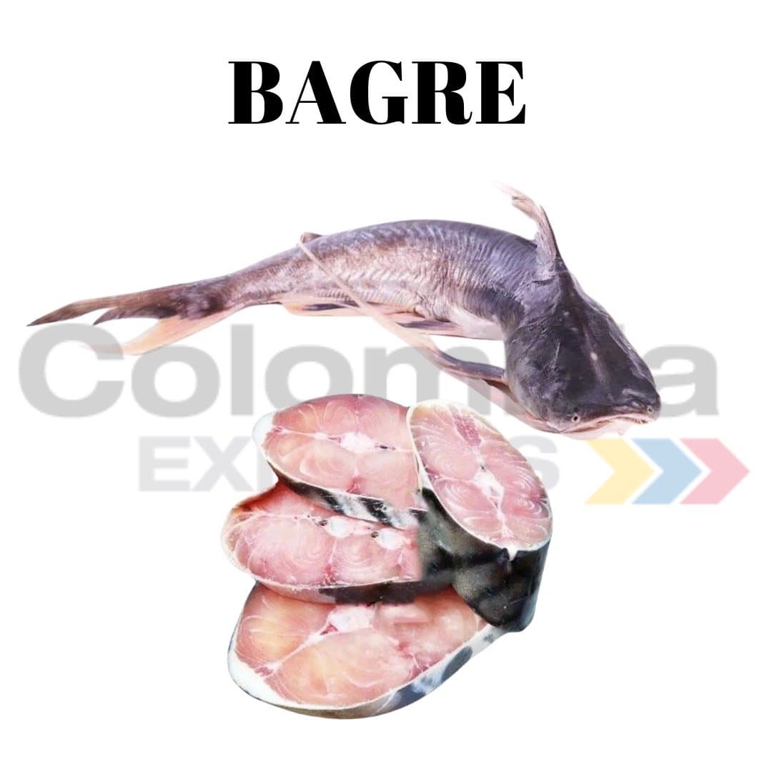Bagre Congelado